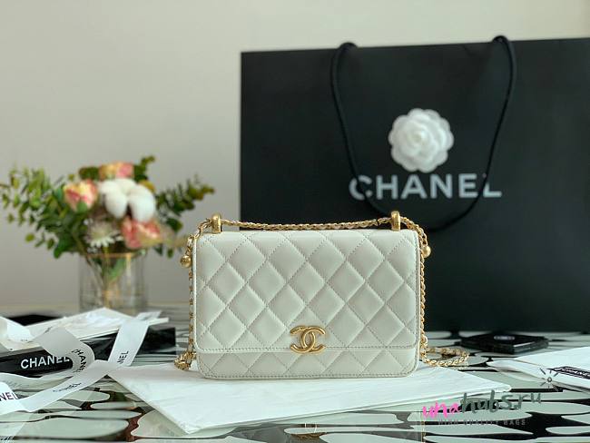 Chanel Woc white 2021 AP2289 19cm - 1