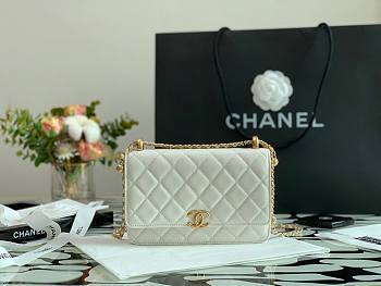 Chanel Woc white 2021 AP2289 19cm