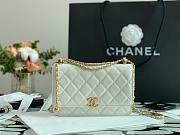 Chanel Woc white 2021 AP2289 19cm - 4