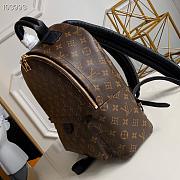 Louis Vuitton M41560 Palm Springs Backpack GM Monogram Canvas - 4