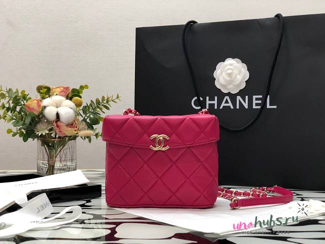 Chanel Lambskin Small Dinner Pink Bag AS2877 - 1