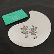 Tiffany & Co earings 02 - 6