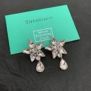 Tiffany & Co earings 02 - 2