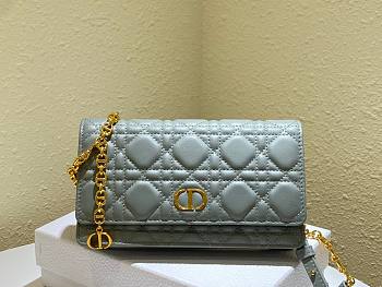 Dior caro gray shoulder bag