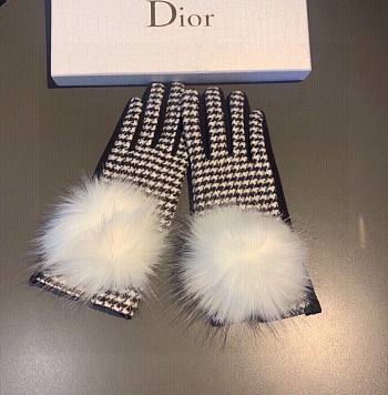 Dior gloves 