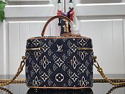 Louis Vuitton Since 1854 Vanity PM Handbags  - 4