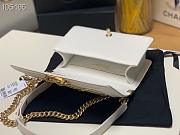 Chanel Leboy White Flap Bag 25cm - 4