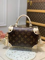  Louis Vuitton Petite Malle Souple Monogram Bag  - 5