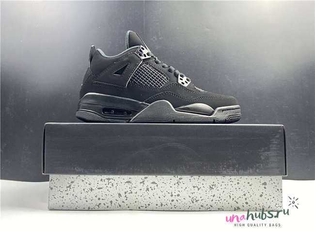 Air Jordan 4 GS “Black Cat” CU1110-010 (W) - 1