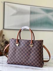 Louis Vuitton Riverside Brown N40050 - 5