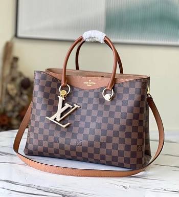 Louis Vuitton Riverside Brown N40050