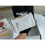 Chanel caviar flap bag 20cm - 5