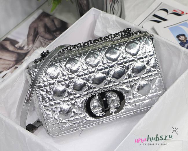 Dior Caro Silver Metallic 25cm - 1