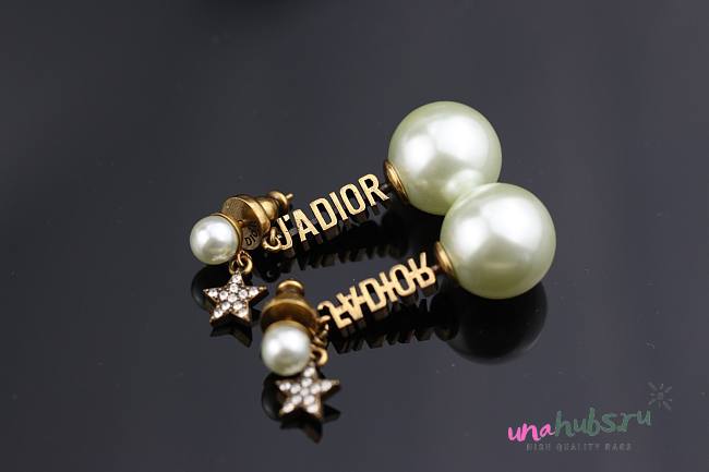 Dior long earings 002 - 1