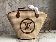 Louis Vuitton Straw Brown Bags M59963 - 2