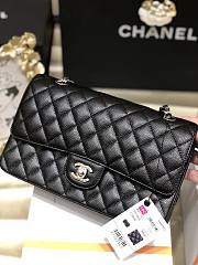 Chanel flap medium size 25 cm caviar black silver - 1