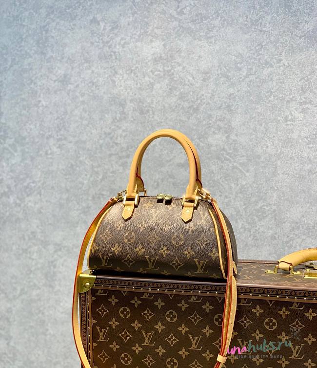 Louis Vuitton Ribera Mini Boston Bag - 1