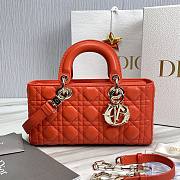 Dior D-Joy Orange Leather Bag - 1