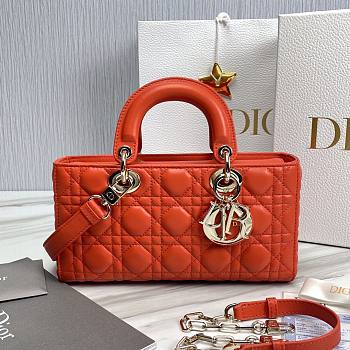 Dior D-Joy Orange Leather Bag