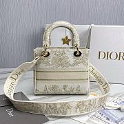 Dior lady gold embroidered bag 24cm - 6