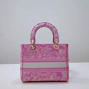 Dior lady D-Lite pink embroidered bag   - 4
