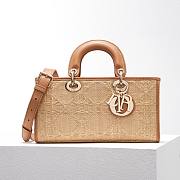 Dior D-Joy Lady Raffia Bag - 1