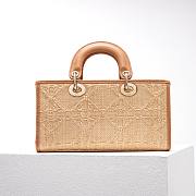 Dior D-Joy Lady Raffia Bag - 5