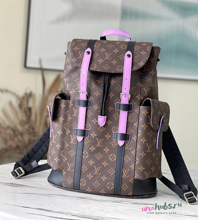 Louis Vuitton Christopher Backpack Purple M51459 - 1