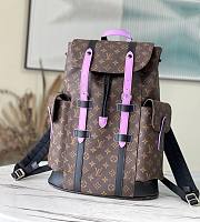 Louis Vuitton Christopher Backpack Purple M51459 - 1