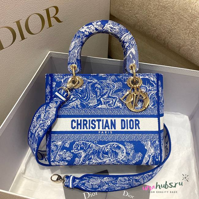 Dior Lady Blue Reverse Embroidery Bag - 1