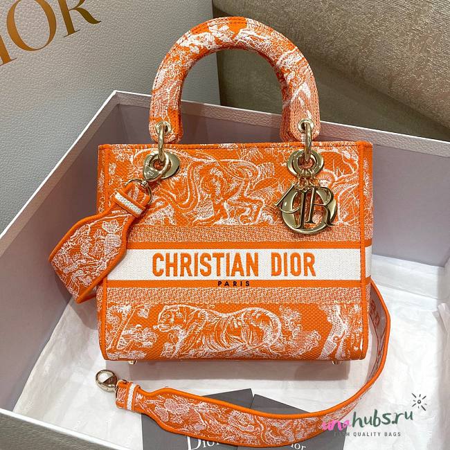 Dior Lady Orange Reverse Embroidery Bag - 1