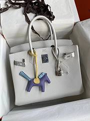 Hermes White Epsom Silver Hadware 30 - 4