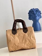 Louis Vuitton Speedy 25 Crossbody Brown Bag - 6