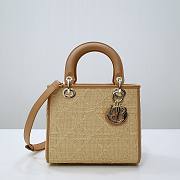 Dior Lady Raffia Bag - 1