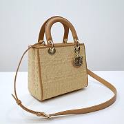 Dior Lady Raffia Bag - 6