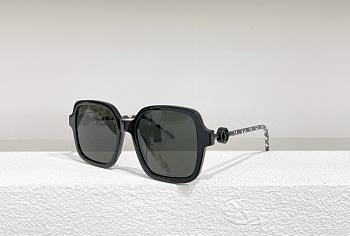 Louis Vuitton sunglasses 09