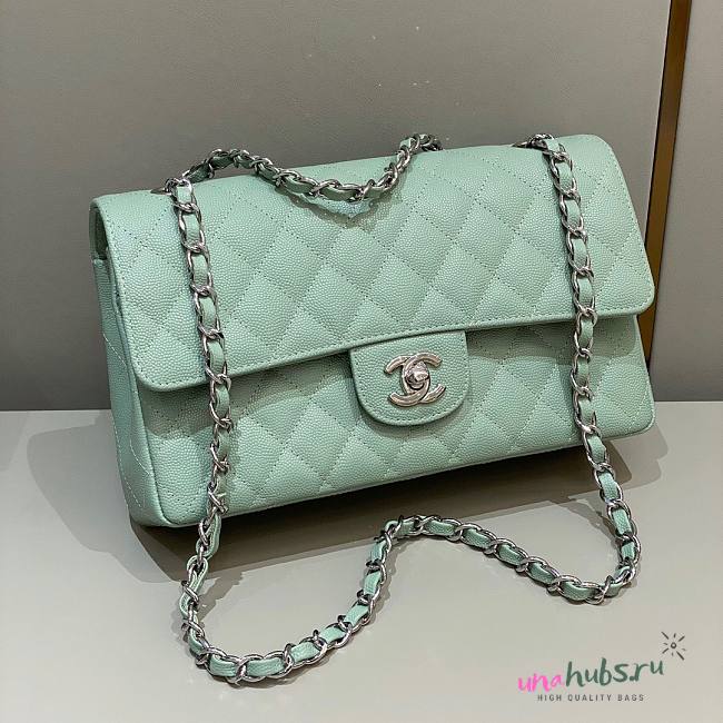 Chanel CF flap mint green grain leather 25 bag - 1