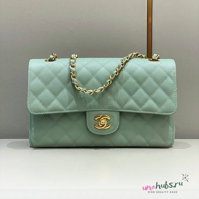 Chanel CF flap mint green grain leather 25 gold bag - 1