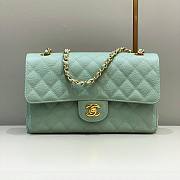 Chanel CF flap mint green grain leather 25 gold bag - 1