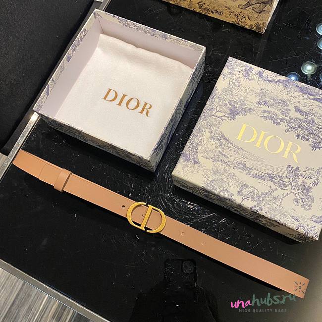 Dior CD brown 2cm belt - 1