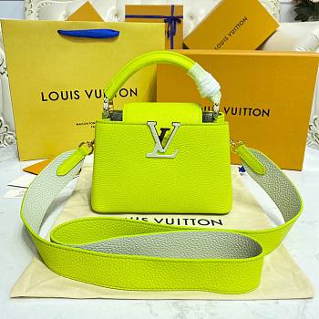 Louis Vuitton Capucines Mini Green/White Bag