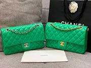 CHANEL 1112 Green 2.55 Lampskin Flap 25cm Bag - 1