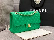 CHANEL 1112 Green 2.55 Lampskin Flap 25cm Bag - 2