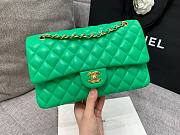 CHANEL 1112 Green 2.55 Lampskin Flap 25cm Bag - 3