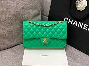 CHANEL 1112 Green 2.55 Lampskin Flap 25cm Bag - 4