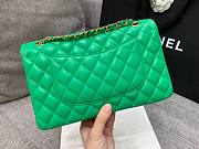 CHANEL 1112 Green 2.55 Lampskin Flap 25cm Bag - 6