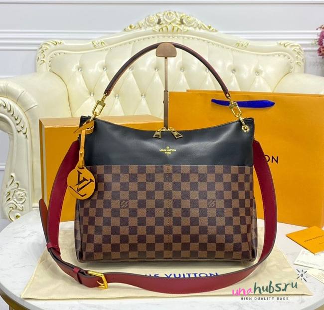 Louis Vuitton Maida Hobo Bag in Red - 1