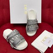 Dior Gray D- Wander Slide  - 5