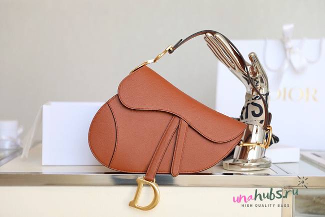 Dior saddle brown 26cm bag - 1