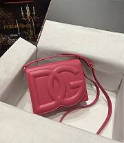 DG calfskin logo pink crossbody bag - 1